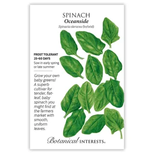 Spinach Oceanside Hybrid Seed Pkt